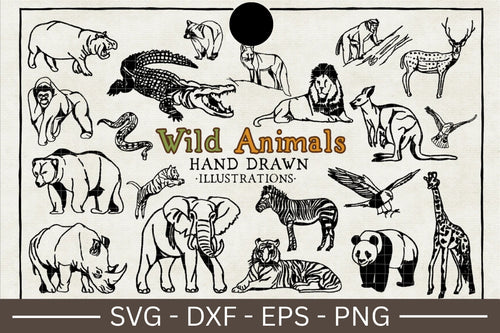 Wild Animal Illustration SVG Bundle