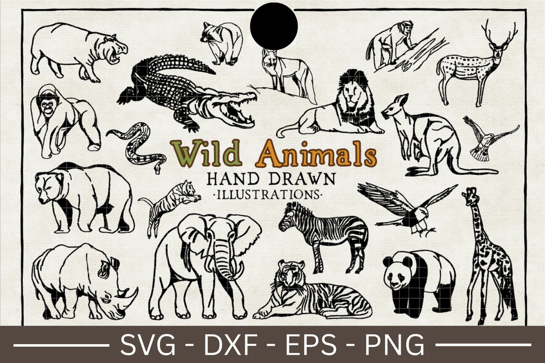 Wild Animal Illustration SVG Bundle