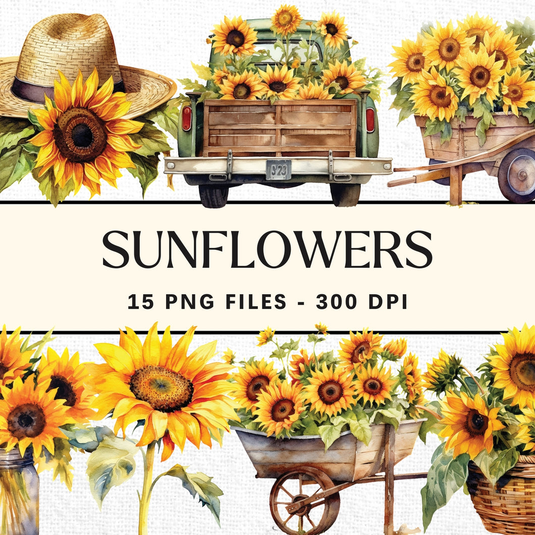 Sunflower Watercolor Sublimation Bundle