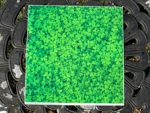 Printed Vinyl & HTV CLOVER