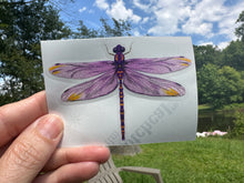 Load image into Gallery viewer, Sticker | 60F | Purple Dragonfly | Waterproof Vinyl Sticker | White | Clear | Permanent | Removable | Window Cling | Glitter | Holographic