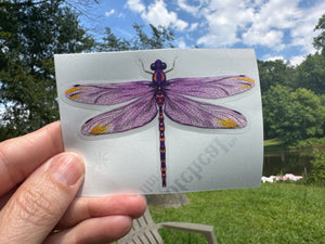Sticker | 60F | Purple Dragonfly | Waterproof Vinyl Sticker | White | Clear | Permanent | Removable | Window Cling | Glitter | Holographic