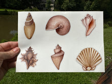 Load image into Gallery viewer, Sticker Sheet Set of little planner stickers Sea Shells