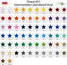 Load image into Gallery viewer, Sorority Vinyl Decal | Car Decal | Laptop Decal | Transfer Decal | Alpha Omicron Pi