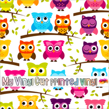 Load image into Gallery viewer, Printed Vinyl &amp; HTV Colorful Owls Patterns 12 x 12 inch sheet