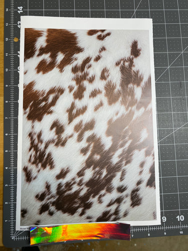 Printed Vinyl & HTV BROWN AND WHITE COWHIDE