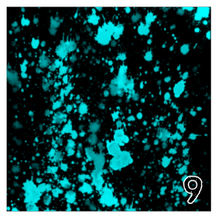 Load image into Gallery viewer, Printed Adhesive Vinyl NEON PAINT SPLATTER on Black Background