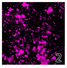 Load image into Gallery viewer, Printed Adhesive Vinyl NEON PAINT SPLATTER on Black Background