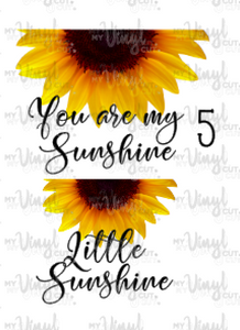 Waterslide Decal You are my Sunshine/Little Sunshine Choose one