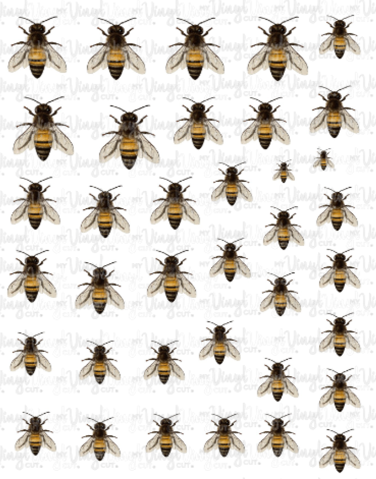Waterslide Sheet Honey Bees 8 x 10 inch