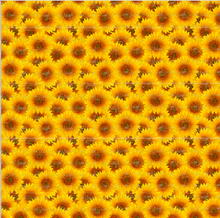 Load image into Gallery viewer, Printed Adhesive Vinyl Realistic Sunflower Pattern 12 x 12 inch sheet