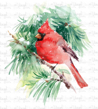 Load image into Gallery viewer, Waterslide Decal Watercolor Red Cardinal Bird on Pine Branch