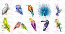 Load image into Gallery viewer, Waterslide Sheet of Decals clear or white film COLORFUL BIRDS