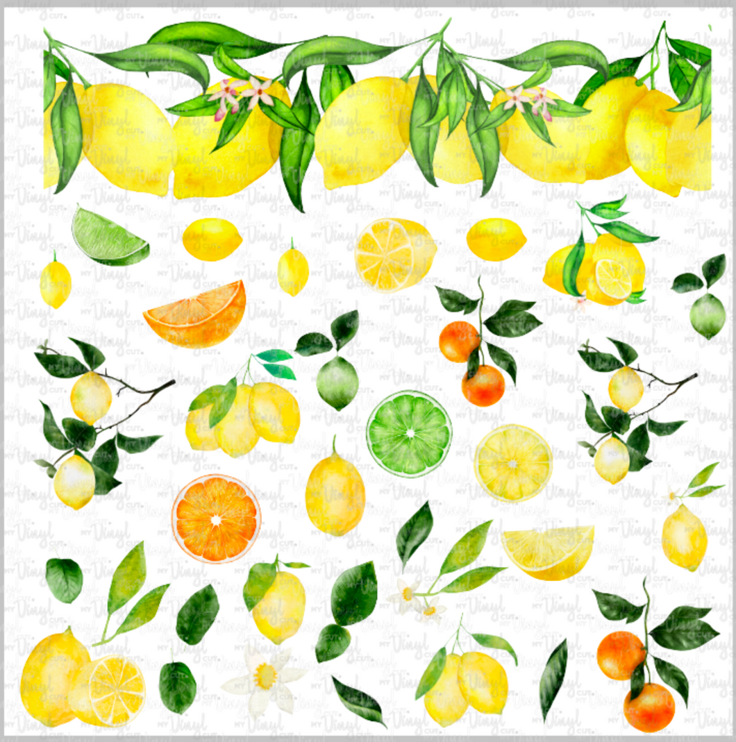 Waterslide Sheet Lemons Limes Oranges Citrus