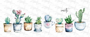 Waterslide Decal Row of Succulents and Cactus