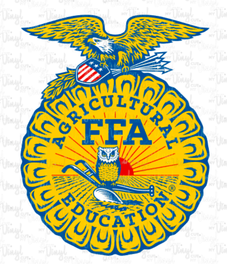 Waterslide Decal FFA