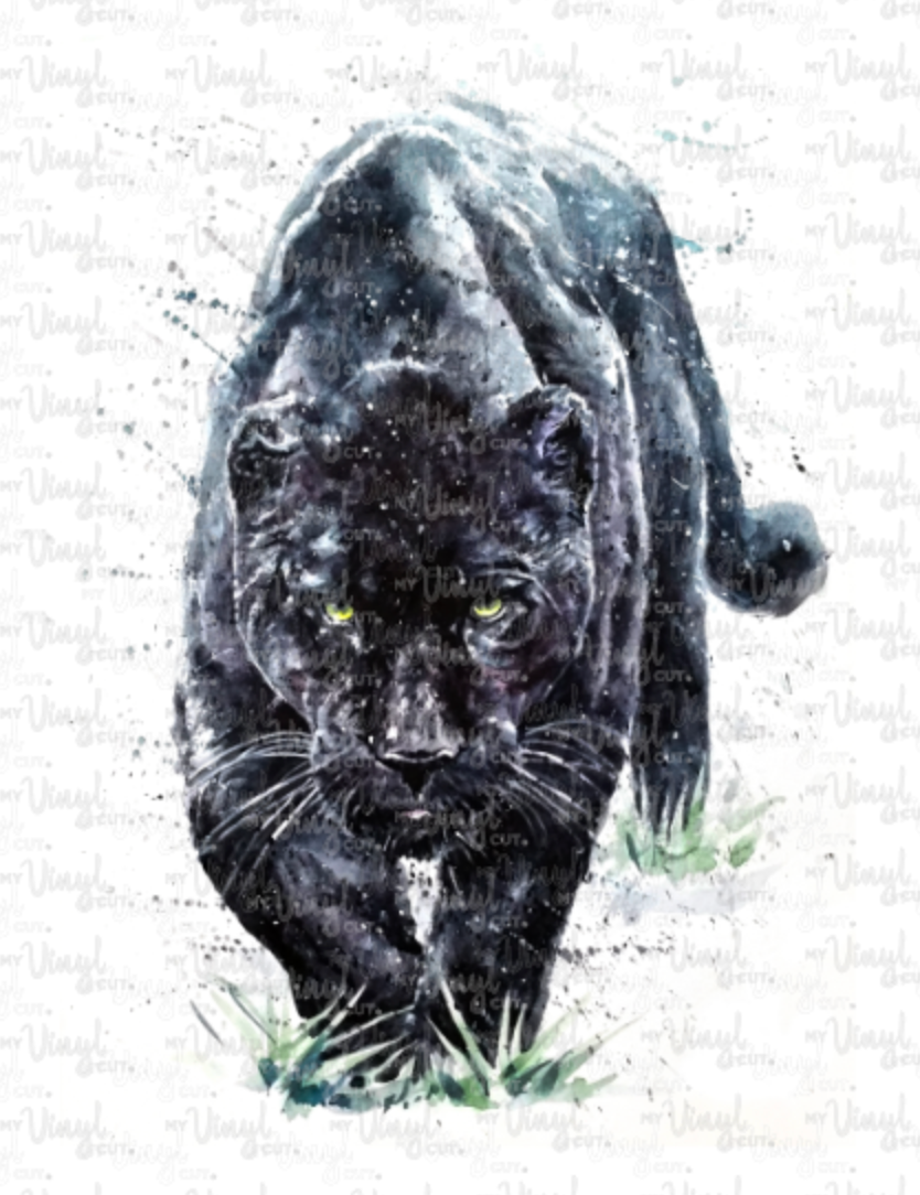Waterslide Decal Black Panther Jaguar Jungle Cat