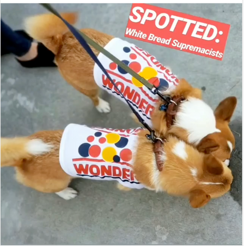 Doggie Tees
