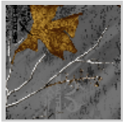 Load image into Gallery viewer, Stahls&#39; RealTree Colors Patterns Heat Transfer Vinyl HTV 12 x 18&quot; sheets