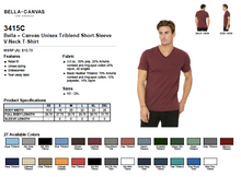 Load image into Gallery viewer, Bella Canvas Unisex Triblend Short Sleeve V Neck