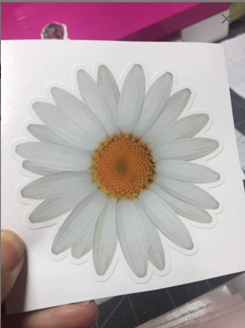 Sticker D10 White Daisy Flower