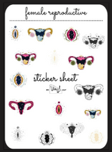 Load image into Gallery viewer, Sticker Sheet 15 Set of little planner stickers Female Reproduction