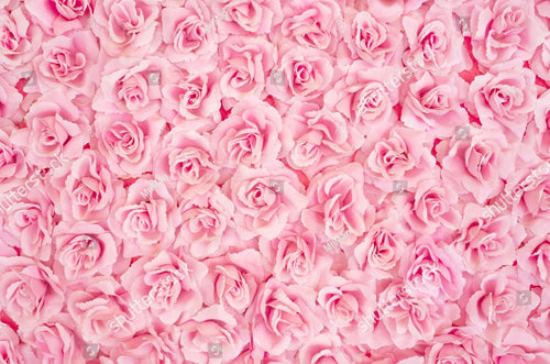 Printed Adhesive Vinyl or HTV PINK ROSES Pattern 8 x 12 inch sheet